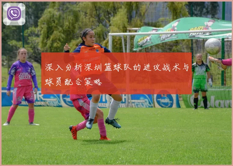深入分析深圳篮球队的进攻战术与球员配合策略