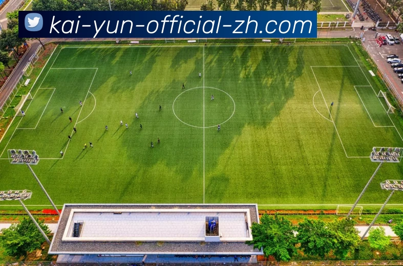 深入探讨北京排球队战术特点与对手的全面对比分析